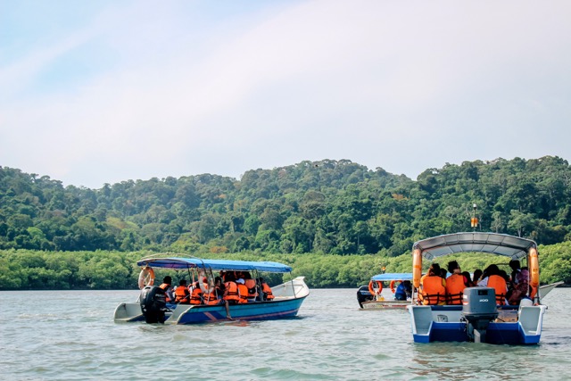 Langkawi Private Island Hopping and Mangrove Combo Tour